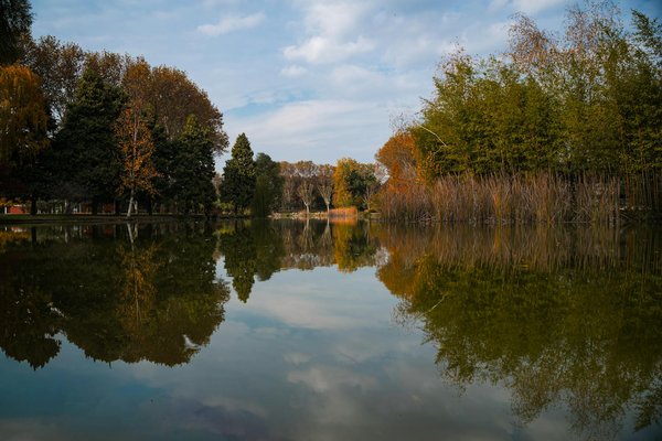 Acupression : 7 méthodes pour atteindre un bien-être immédiat